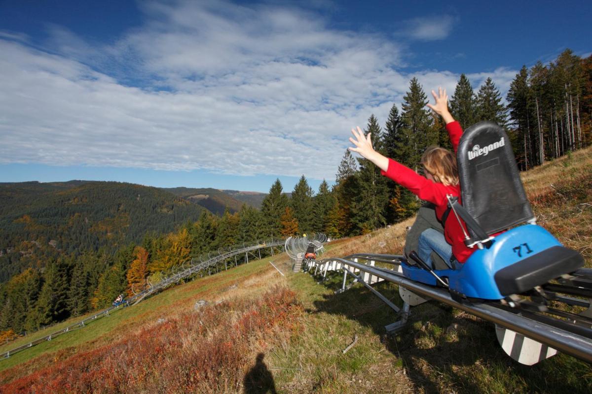 Black Forest Living - Todtnauberg Leilighet Eksteriør bilde
