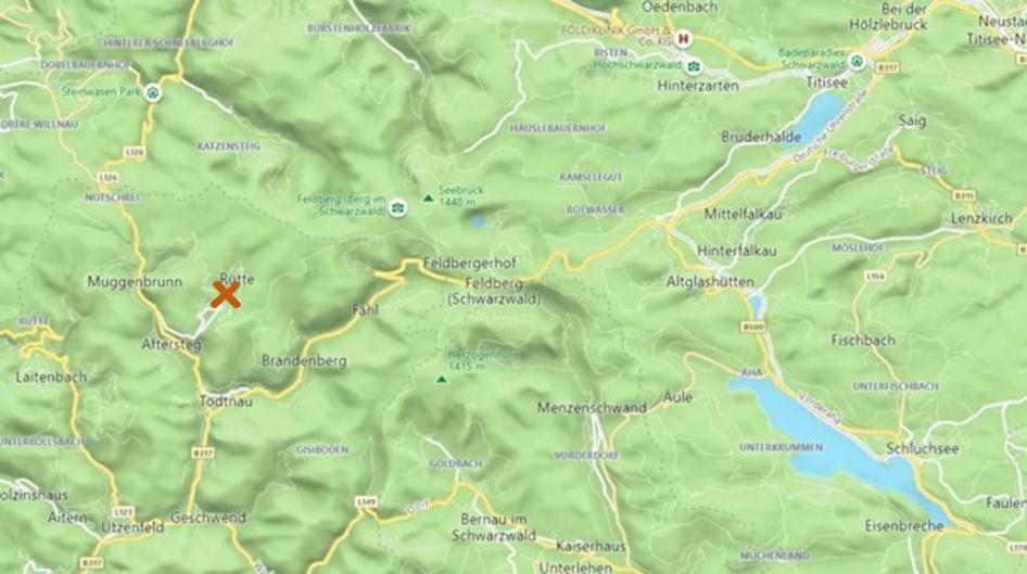 Black Forest Living - Todtnauberg Leilighet Eksteriør bilde