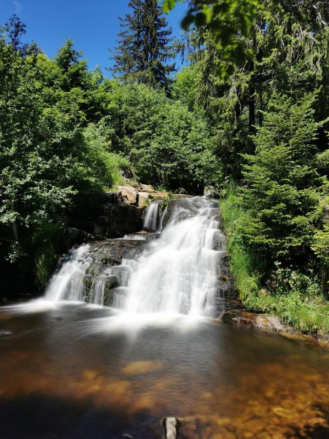 Black Forest Living - Todtnauberg Leilighet Eksteriør bilde