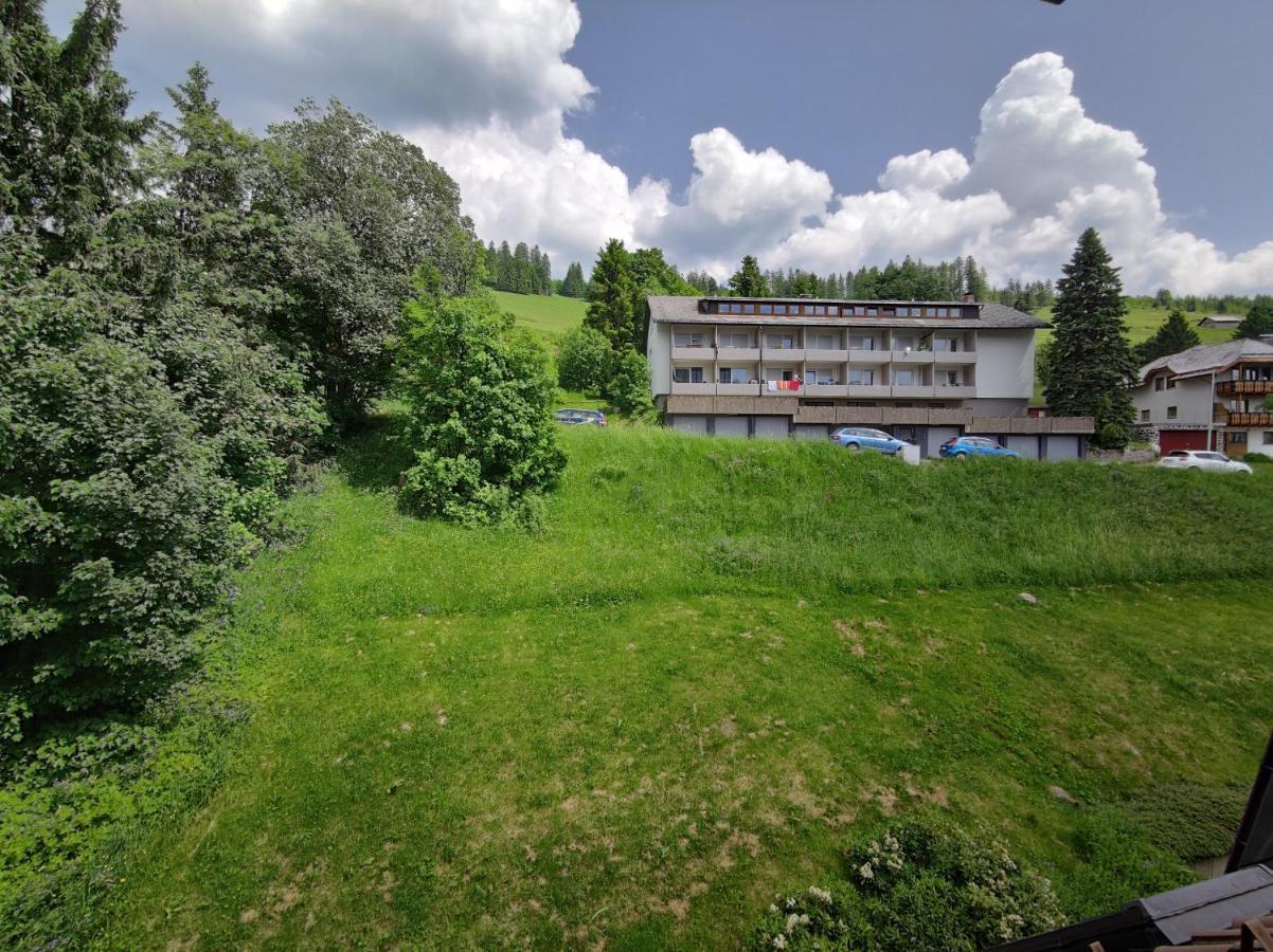 Black Forest Living - Todtnauberg Leilighet Eksteriør bilde