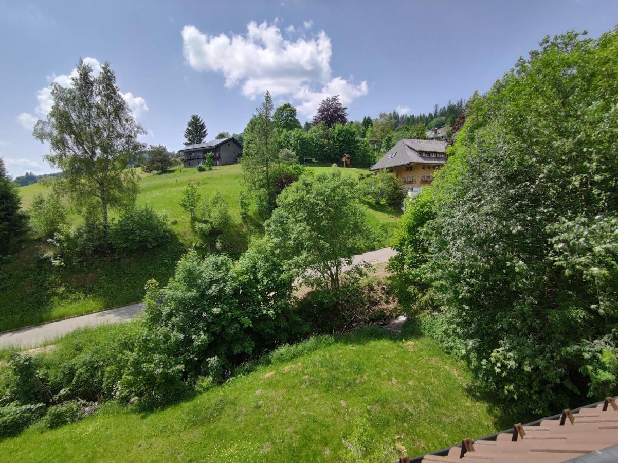 Black Forest Living - Todtnauberg Leilighet Eksteriør bilde