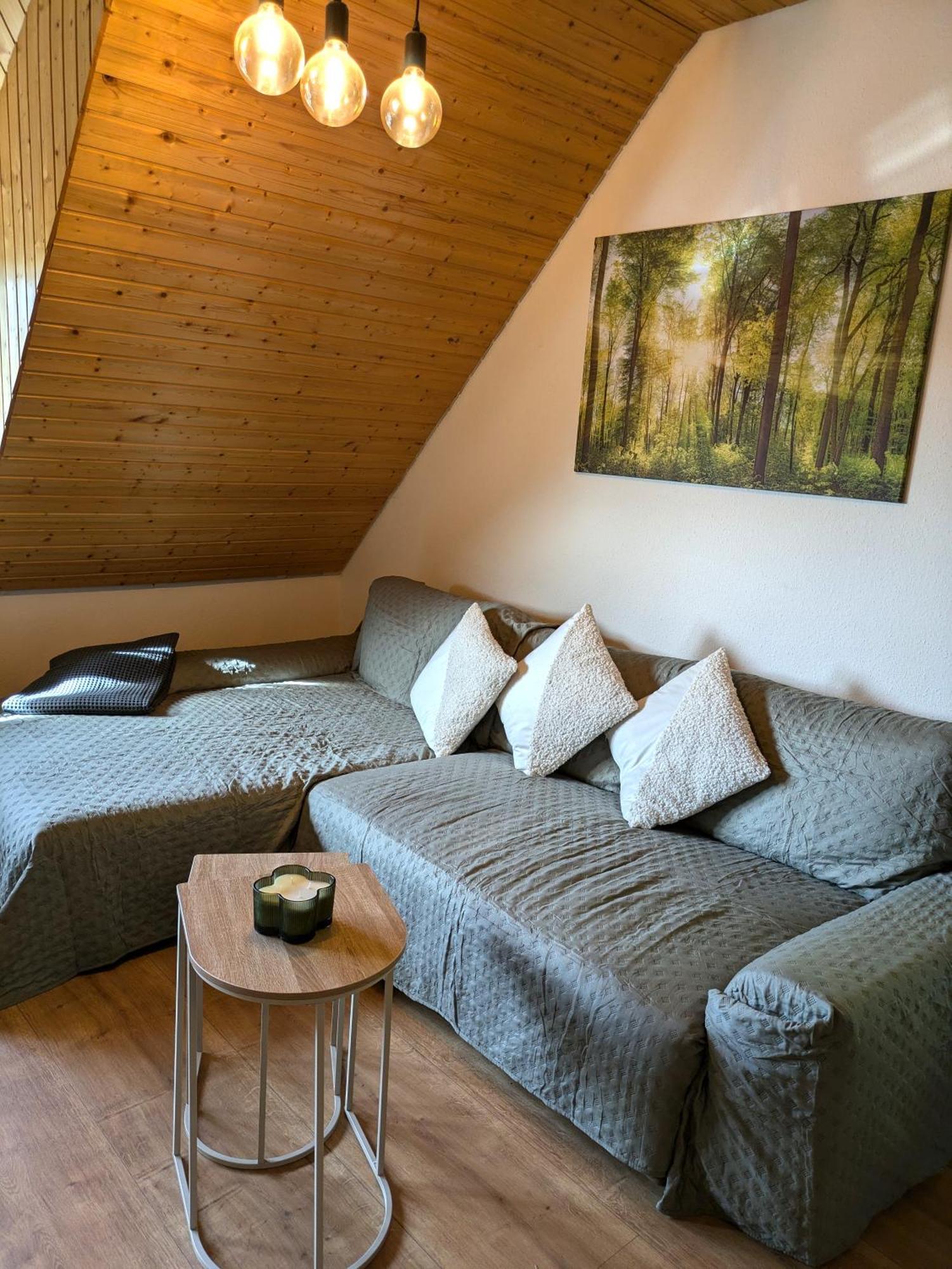 Black Forest Living - Todtnauberg Leilighet Eksteriør bilde